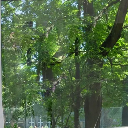 Apartmán Zefiro Stajenna Gdaňsk